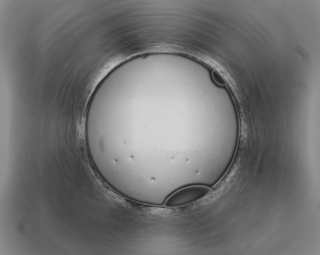 X0000115111097200911101600