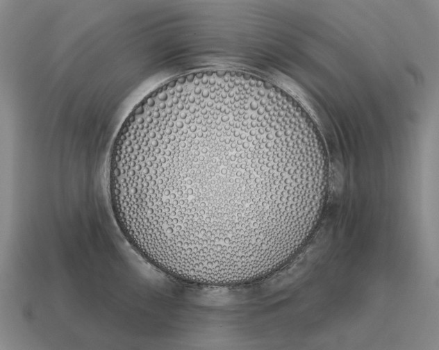 X0000115111098200911101600