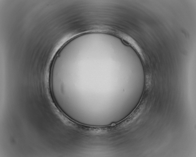 X0000115111099200911101600