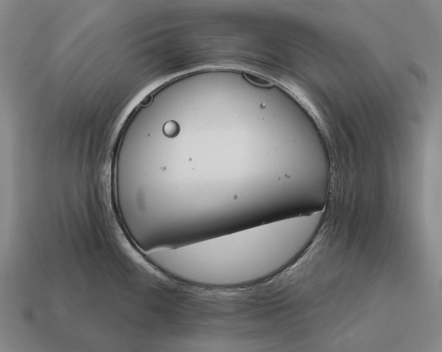 X0000115111100200911101600