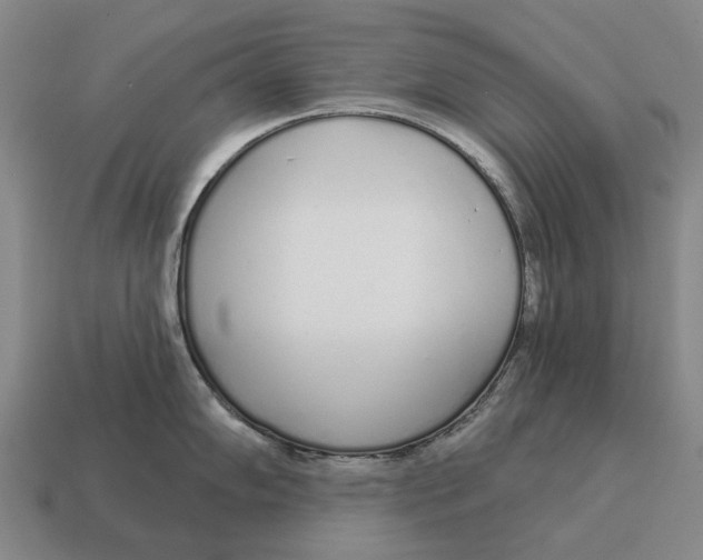 X0000115111102200911101600