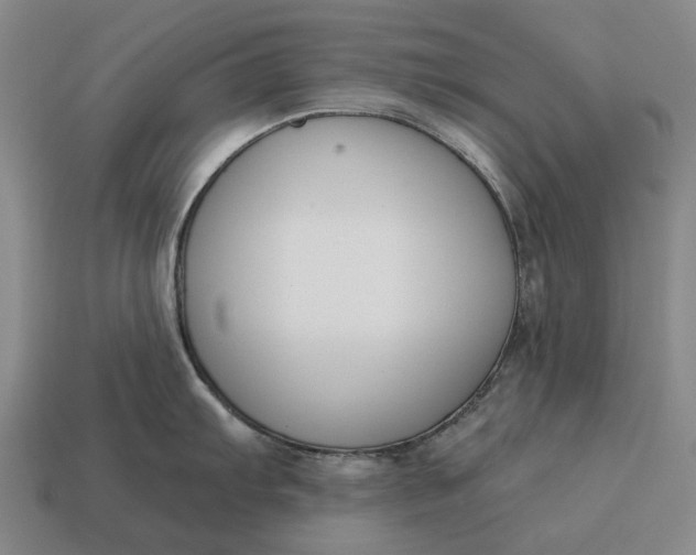 X0000115111103200911101600