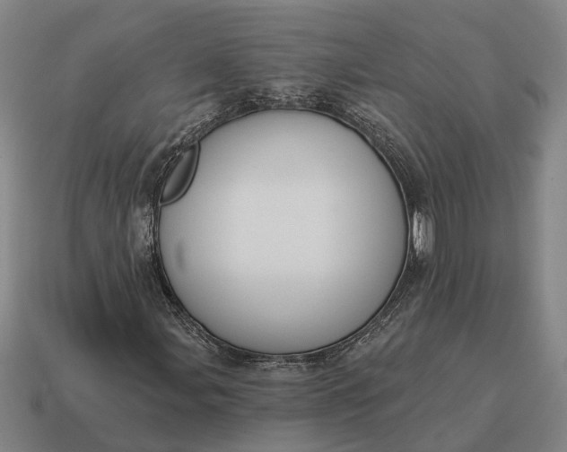 X0000115111107200911101559