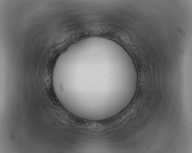 X0000115111109200911101559