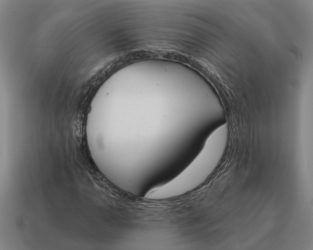 X0000115111110200911101559
