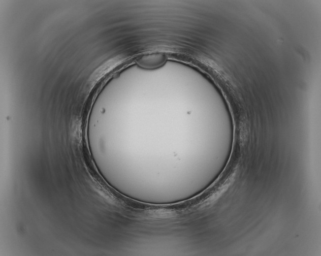 X0000115111113200911101559