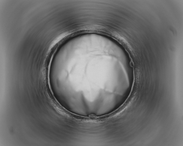 X0000115111114200911101559