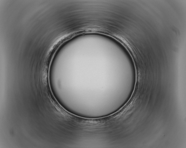 X0000115111115200911101559