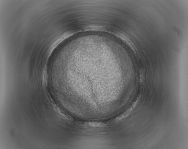 X0000115111117200911101559