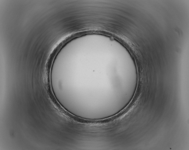 X0000115111118200911101559