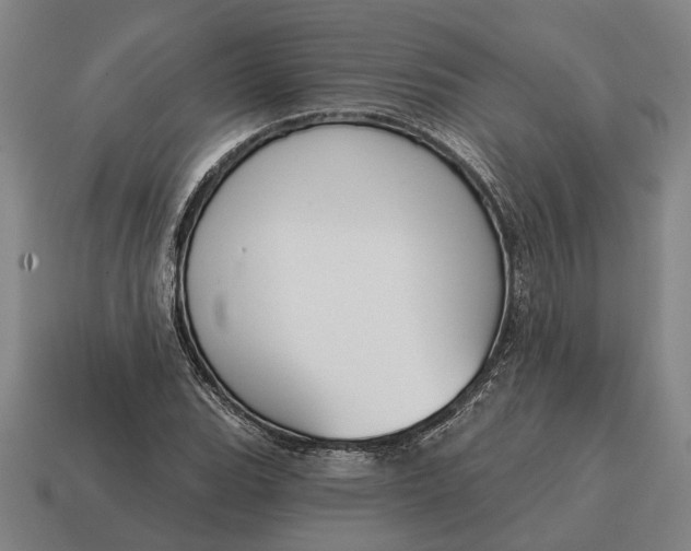 X0000115111119200911101600