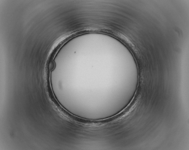 X0000115111122200911101600