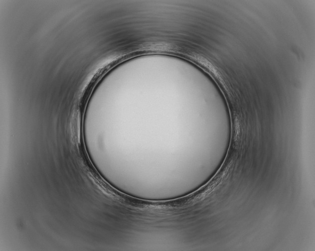X0000115111123200911101600