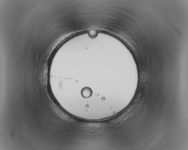 X0000115111126200911101600