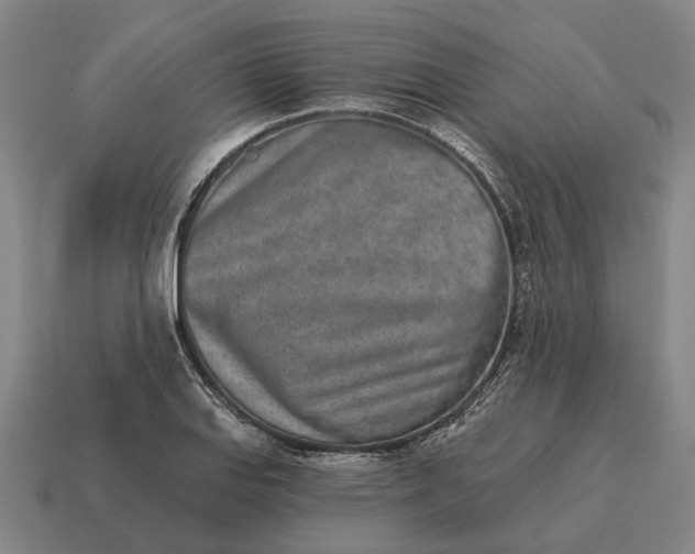 X0000115111127200911101600