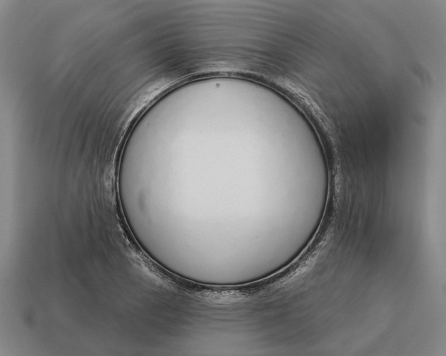 X0000115111129200911101600