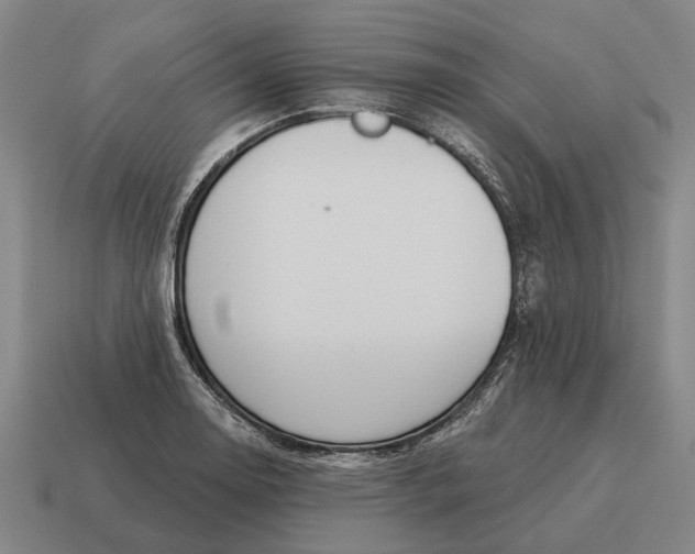 X0000115111130200911101600