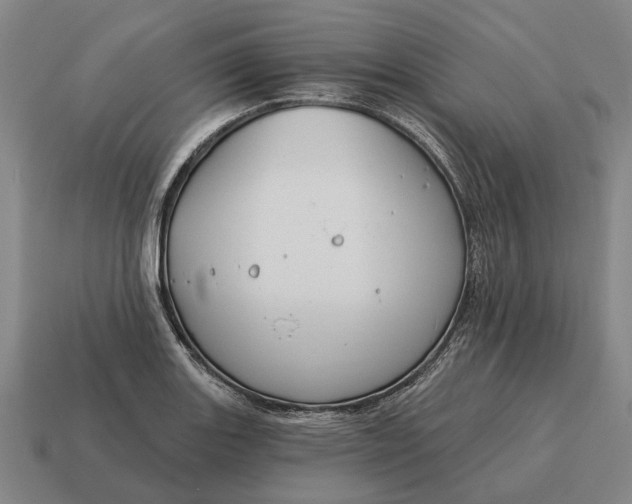 X0000115111131200911101600