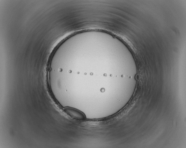 X0000115111134200911101600
