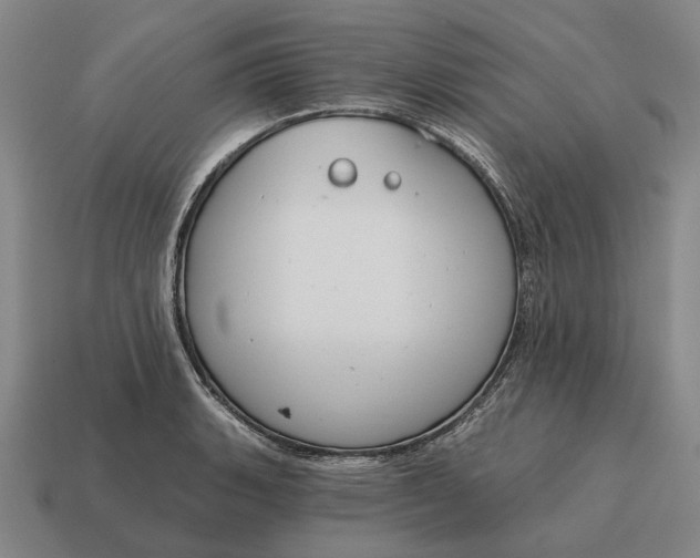 X0000115111135200911101600