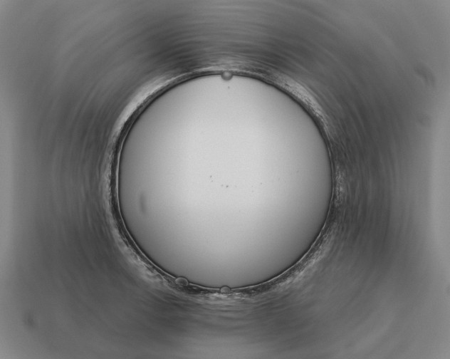 X0000115111138200911101600