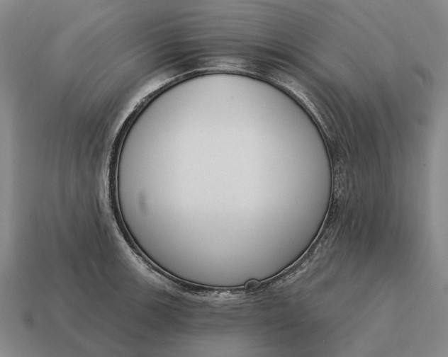 X0000115111139200911101600