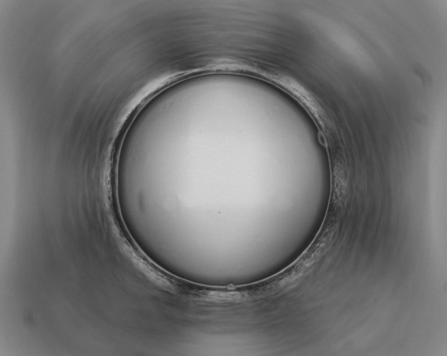 X0000115111142200911101600