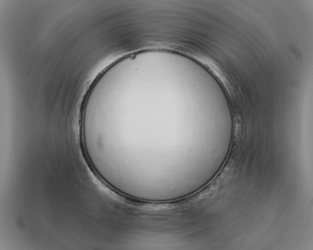 X0000115111143200911101600