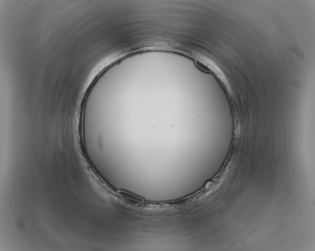 X0000115111146200911101600