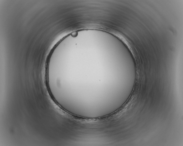 X0000115111147200911101600