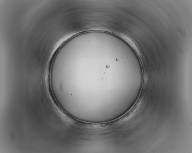 X0000115111149200911101600