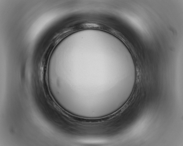X0000115111151200911101600