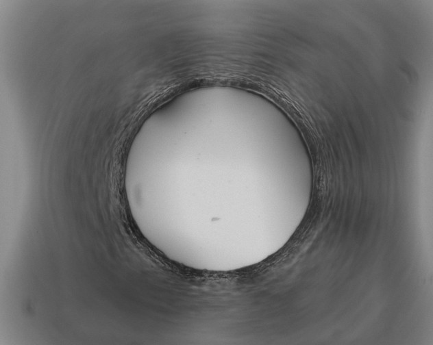 X0000115111153200911101559
