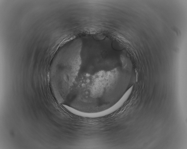 X0000115111155200911101559