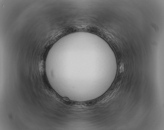 X0000115111156200911101559