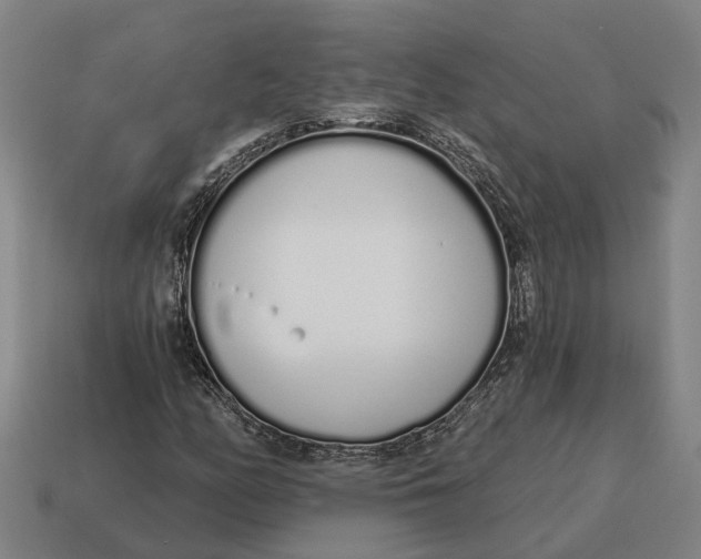 X0000115111158200911101559