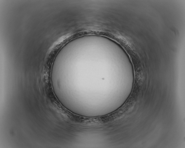 X0000115111159200911101559