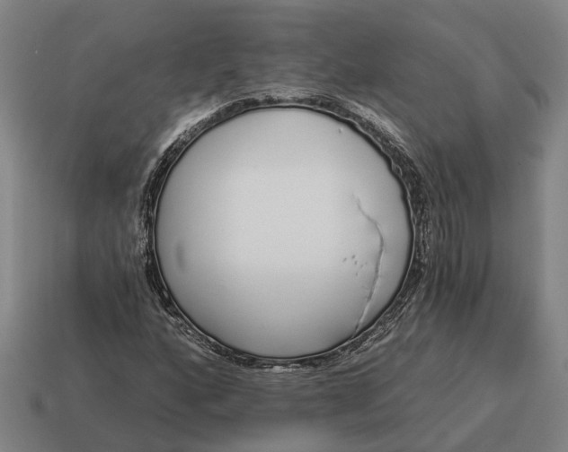 X0000115111160200911101559