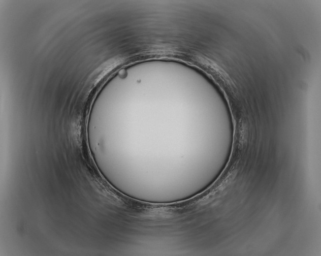 X0000115111162200911101559
