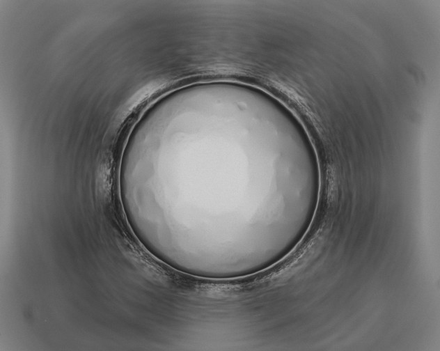 X0000115111163200911101559