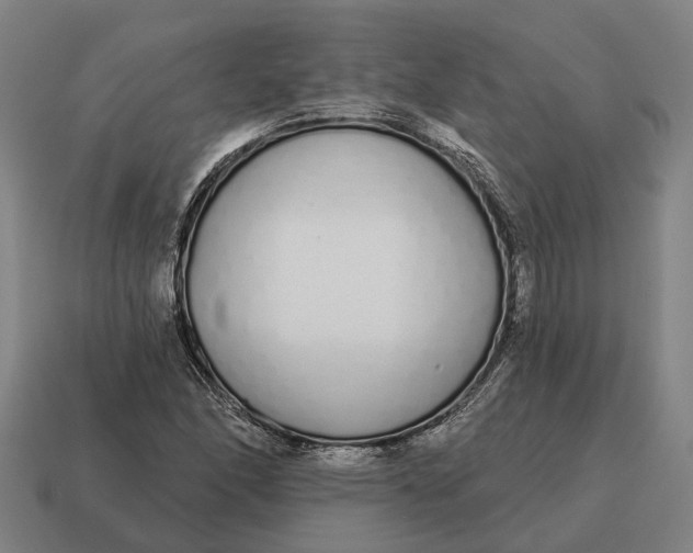 X0000115111166200911101559