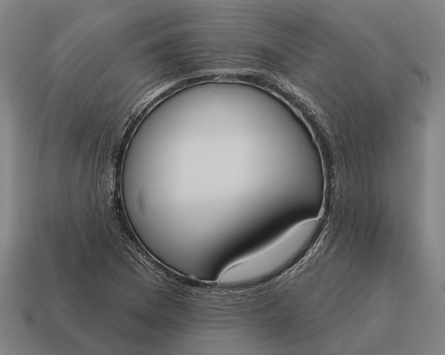 X0000115111169200911101559