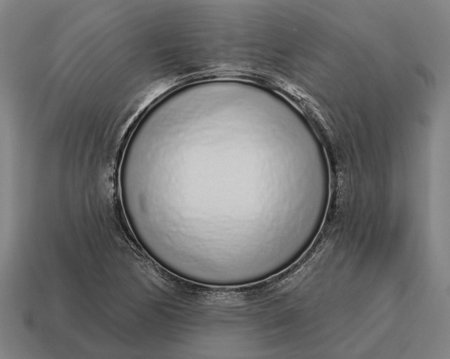 X0000115111170200911101559