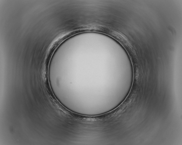 X0000115111172200911101559