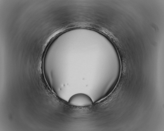 X0000115111174200911101559