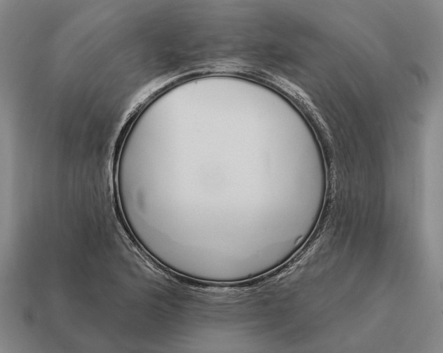 X0000115111176200911101559