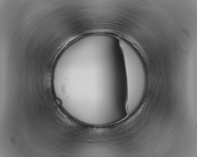 X0000115111177200911101559