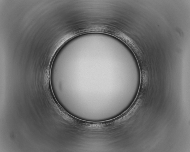 X0000115111178200911101559