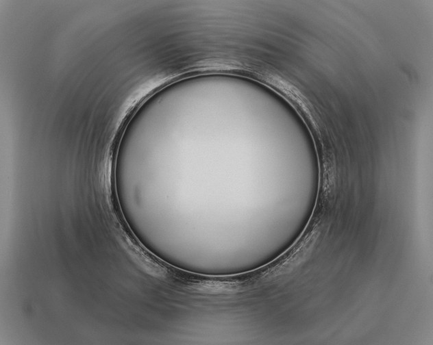 X0000115111179200911101559