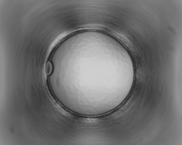X0000115111180200911101559